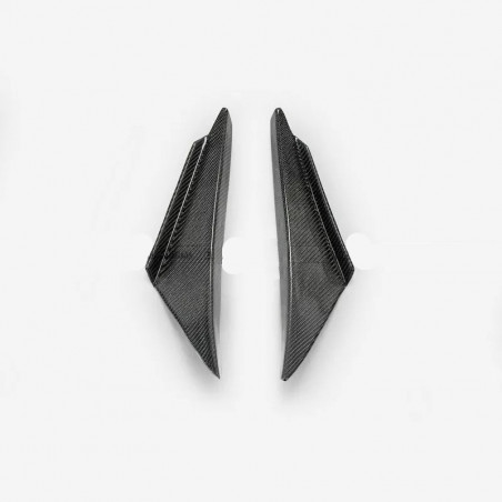 CANARDS CARBONO EVO 8