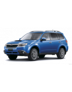FORESTER 11-18